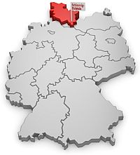 Epagneul Picard crescători și căței în Schleswig-Holstein,Germania de Nord, SH, Frisia de Nord