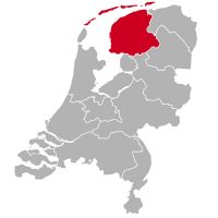 Thai Bangkaew Crescător de câini și căței în Friesland,